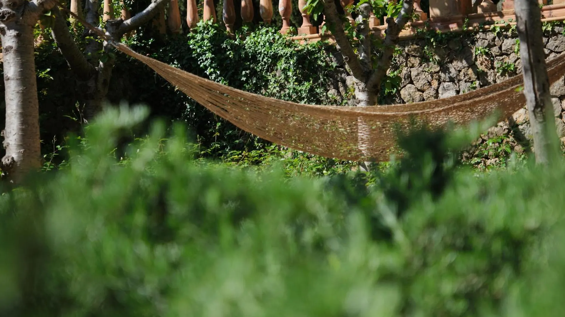 Hotel Valldemossa - The New Brand By It Mallorca